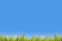 Blue sky background, grass field border