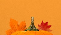 Autumn pumpkin aesthetic background, maple leaf border