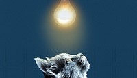 Black cat border background, light bulb image