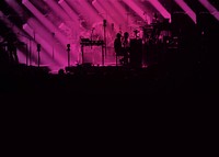 Silhouette concert, pink light background