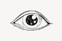 Human eye line art vector