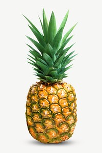 Tropical pineapple design element psd