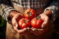 Farming holding tomatoes AI generated image