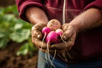 Farmer holding radish