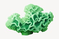 Food microbiology cauliflower accessories. AI generated Image by rawpixel.