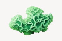Microbiology invertebrate underwater alcyonacea. AI generated Image by rawpixel.