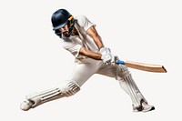 Cricket helmet sports adult