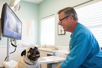 Veterinarian and dog