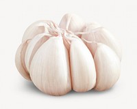 Garlic bulb, isolated design