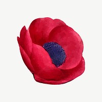 Red poppy flower collage element psd