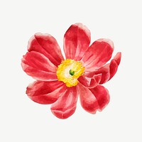 Red flower collage element psd