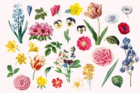 Colorful flower illustration set psd