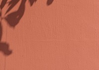 Red wall textured background, leaf shadow border