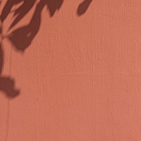 Red wall textured background, leaf shadow border