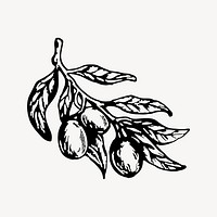 Vintage olive, black & white illustration vector