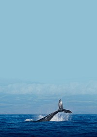 Whale in ocean background design