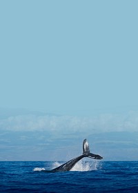 Whale in ocean background design