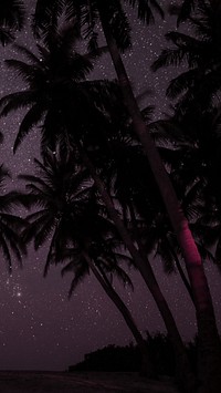 Palm trees at night iPhone wallpaper background