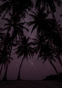 Palm trees at night background design