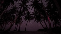 Palm trees at night background design