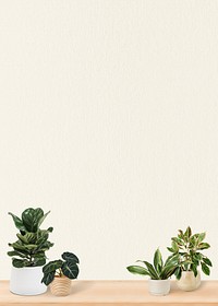 Plants on shelf background design