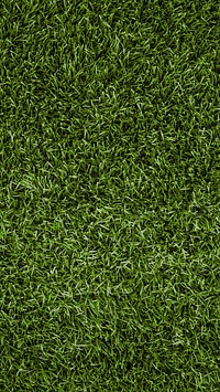 Football pitch iPhone wallpaper background