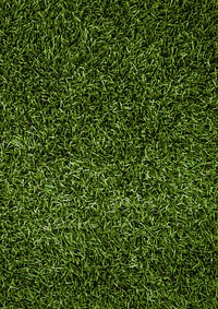 Football pitch background design