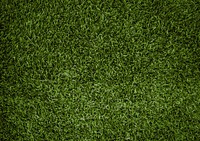 Football pitch background design