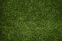 Football pitch background design