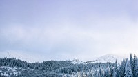 Winter forest sky HD wallpaper, nature photo