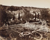 Jardin De Gethseman #303 by Felix Bonfils
