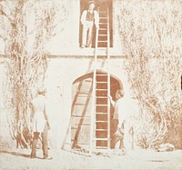 The Ladder by William Henry Fox Talbot