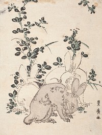 Three Rabbits amidst Bush Clover by Utagawa Toyohiro