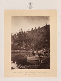 View on Apache Lake, Sierra Blanca Range, Arizona by William Abraham Bell and Timothy H O Sullivan