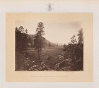 Cooley's Park, Sierra Blanca Range, Arizona by William Abraham Bell and Timothy H O Sullivan