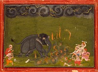 Taming of the Elephant Chanchal