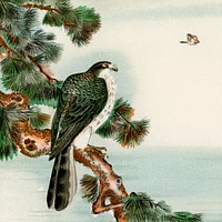 Bird perching on tree top, vintage Japanese animal painting by G.A. Audsley-Japanese illustration. Public domain image from our own original 1884 edition of The Ornamental Arts Of Japan. Digitally enhanced by rawpixel.