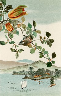 Bird perching on tree top, vintage Japanese animal painting by G.A. Audsley-Japanese illustration. Public domain image from our own original 1884 edition of The Ornamental Arts Of Japan. Digitally enhanced by rawpixel.