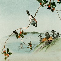 Bird perching on tree top, vintage Japanese animal painting by G.A. Audsley-Japanese illustration. Public domain image from our own original 1884 edition of The Ornamental Arts Of Japan. Digitally enhanced by rawpixel.