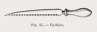 Egohine, gardening tool illustration by Fran&ccedil;ois-Fr&eacute;d&eacute;ric Grobon. Public domain image from our own 1873 edition original copy of Les roses: Histoire, Culture, Description. Digitally enhanced by rawpixel.