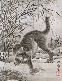 Cat Catching a Frog (1887) Japnese ukiyo-e art by Kawanabe Kyosai. Original public domain image from The MET Museum. Digitally enhanced by rawpixel.