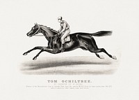 Tom Ochiltree by Lexington, Out of Katona (1870-1880) chromolithograph by Currier & Ives. Original public domain image from the Library of Congress. Digitally enhanced by rawpixel.