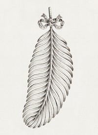 Design for a Brooch in Shape of a Feather (late 18th century) drawing. Original public domain image from The Smithsonian Institution. Digitally enhanced by rawpixel.