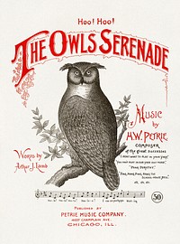 The Owls Serenade (1894) chromolithograph by Petrie Music Co, Chicago. Original public domain image from Wikipedia. Digitally enhanced by rawpixel.