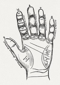 Perin's science of palmistry; a complete and authentic treatise (1902) vintage icon by Carl Louis Perin. Original public domain image from Wikipedia. Digitally enhanced by rawpixel.