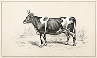 Cattle and dairy farming (1887) chromolithograph by United States. Bureau of Foreign Commerce. Original public domain image from Wikipedia. Digitally enhanced by rawpixel.