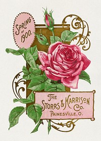 Storrs & Harrison Co. Spring (1900) chromolithograph. Original public domain image from Wikipedia. Digitally enhanced by rawpixel.