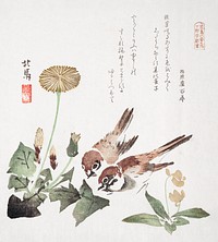 Spring Rain Collection (Harusame shu), vol. 3: Sparrows and Dandelions (1820), Japanese traditional illustration by  Teisai Hokuba. Original public domain image from The MET Museum.  Digitally enhanced by rawpixel.