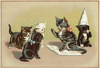 Five cats, one sitting with a dunce cap while one reads from a book to the other three (1870–1900), vintage animal illustration. Original public domain image from Digital Commonwealth.  Digitally enhanced by rawpixel.