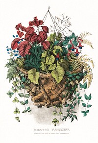Rustic basket (1856), vintage flower illustration by Currier & Ives. Original public domain image from the Library of Congress.  Digitally enhanced by rawpixel.